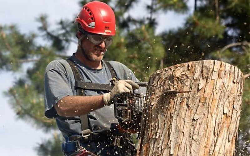 Bugz-Eye Sight Shield Steel Mesh Anti Fog Safety Goggles - 20 Mesh - Image 3